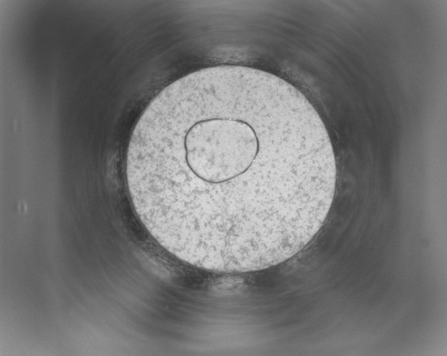 X0000068830162200606021652