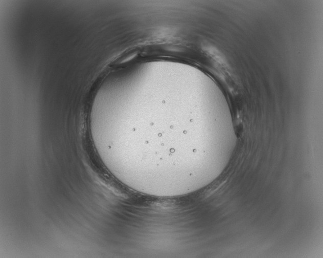 X0000068830164200606021652