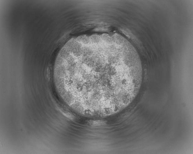 X0000068830165200606021652