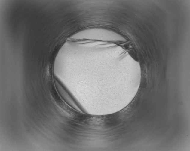 X0000068830166200606021652