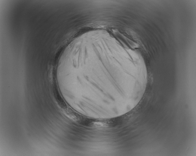 X0000068830167200606021652