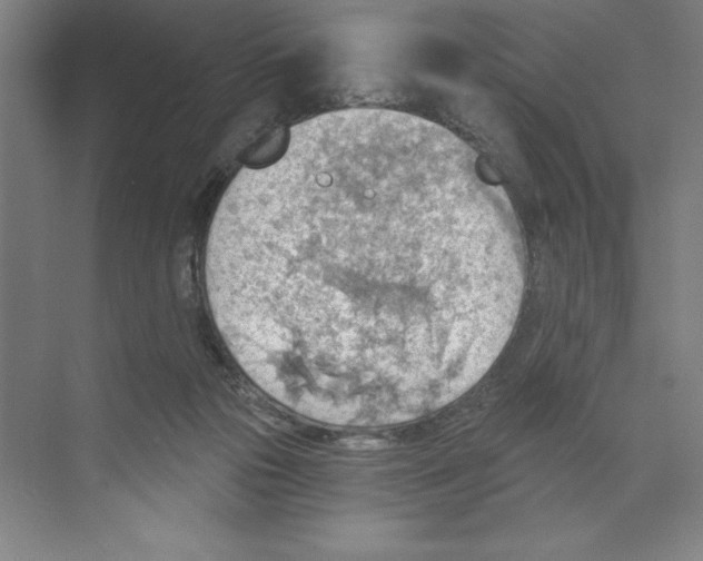 X0000068830169200606021652