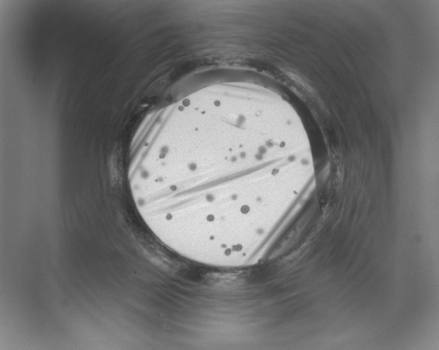 X0000068830170200606021652