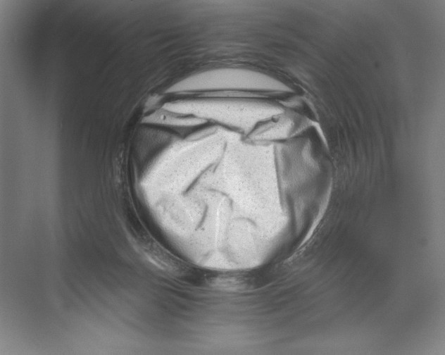 X0000068830171200606021652