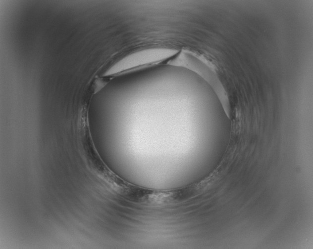 X0000068830172200606021652