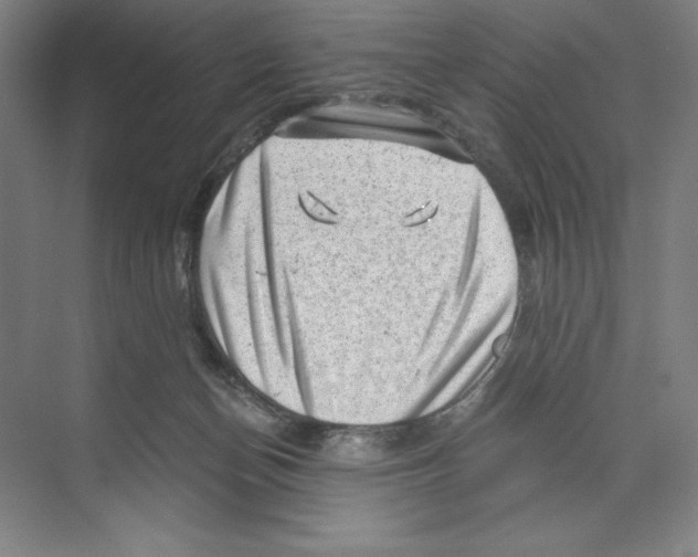 X0000068830174200606021652