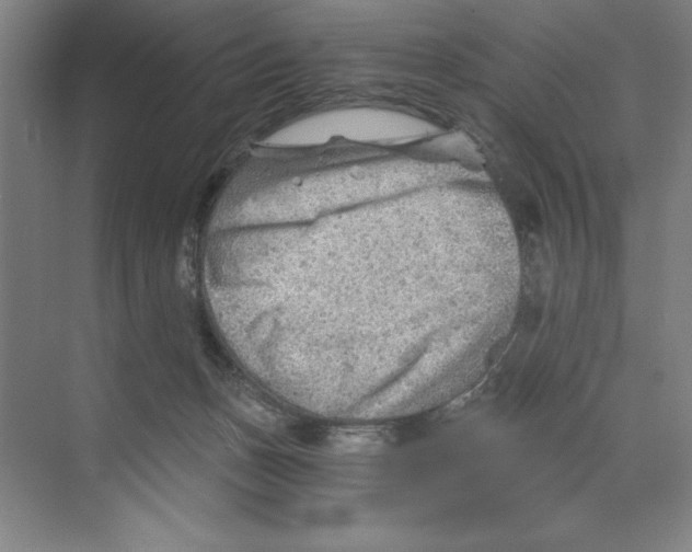 X0000068830175200606021652