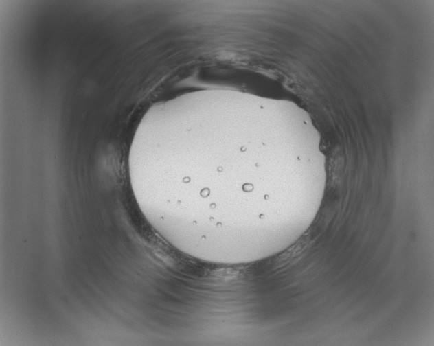 X0000068830176200606021652