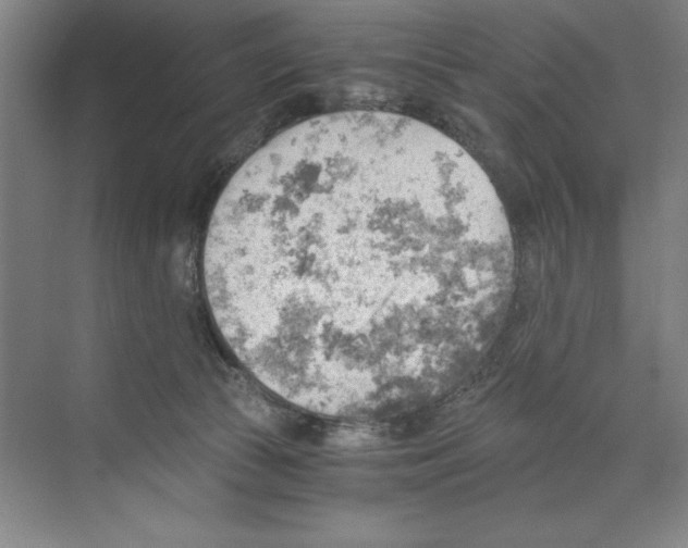 X0000068830177200606021652