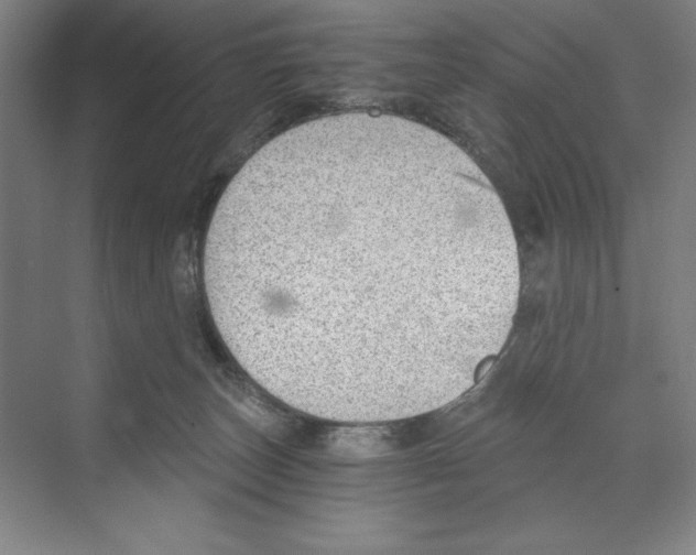 X0000068830179200606021652