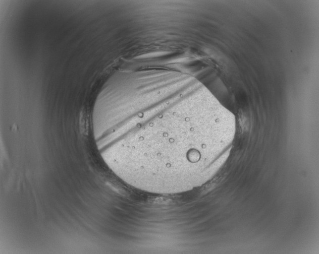 X0000068830180200606021652