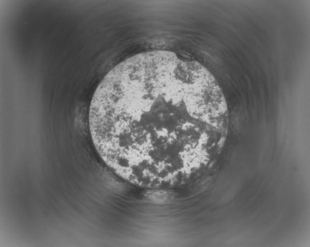 X0000068830181200606021652