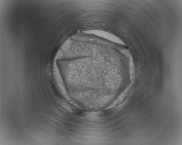 X0000068830182200606021652