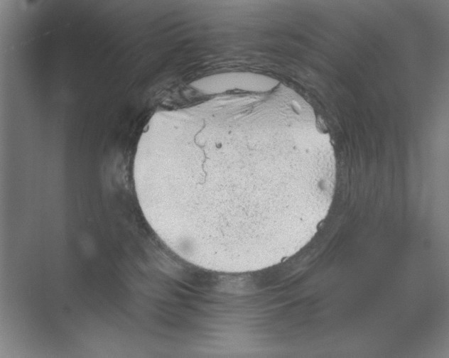 X0000068830185200606021652