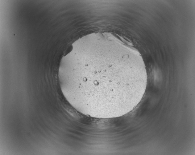 X0000068830186200606021652