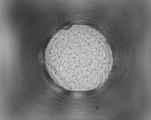 X0000068830187200606021652