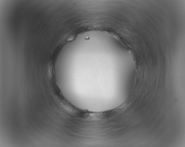 X0000068830188200606021652