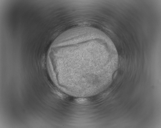 X0000068830189200606021652