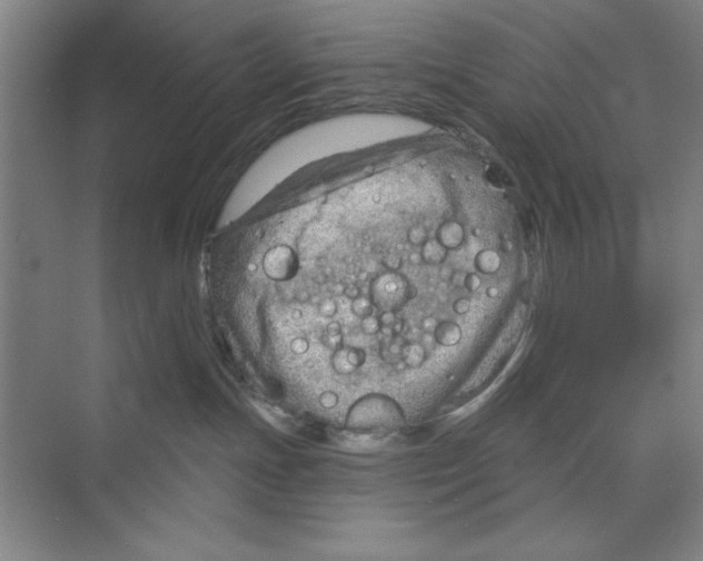 X0000068830191200606021652