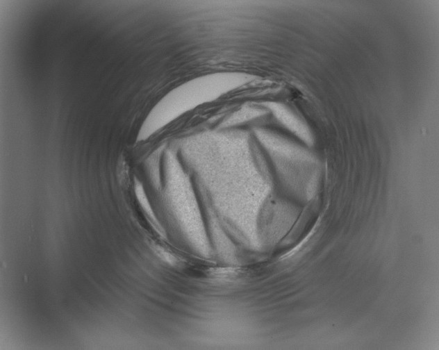 X0000068830192200606021652