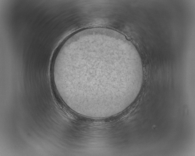 X0000068830196200606021651