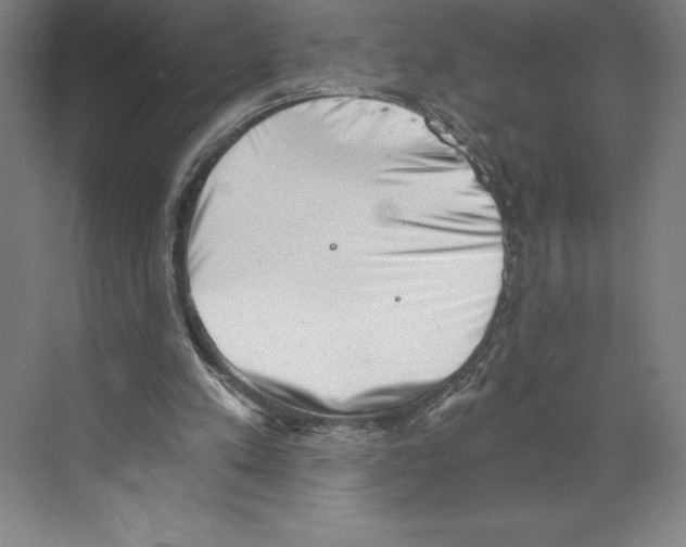 X0000068830197200606021651