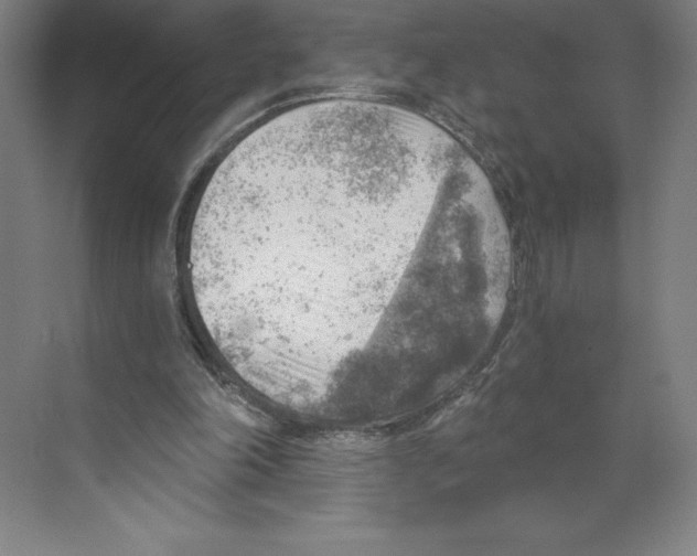 X0000068830198200606021651