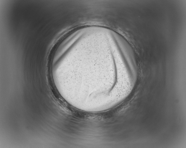 X0000068830199200606021651