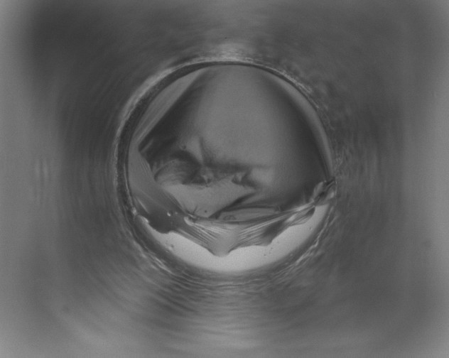 X0000068830200200606021651