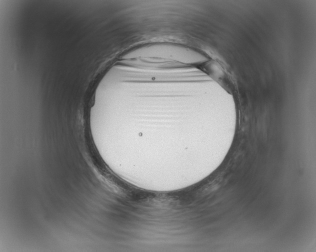 X0000068830201200606021651