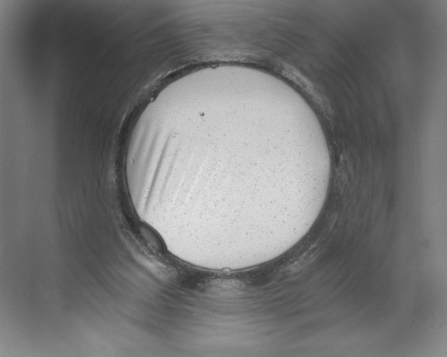 X0000068830203200606021651