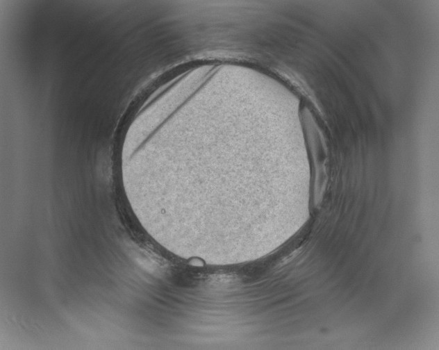 X0000068830204200606021651