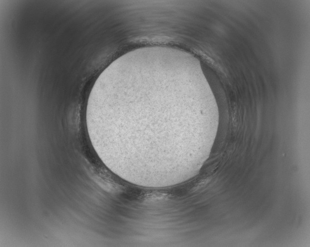 X0000068830206200606021651