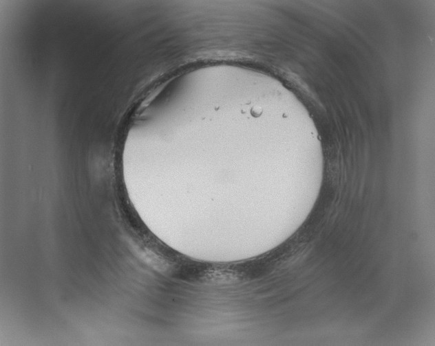 X0000068830207200606021651