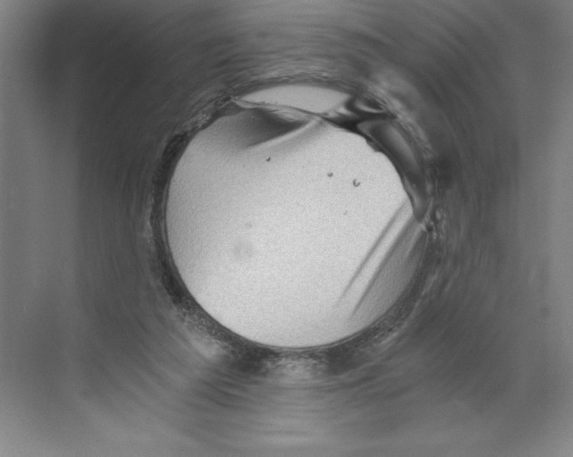 X0000068830209200606021651