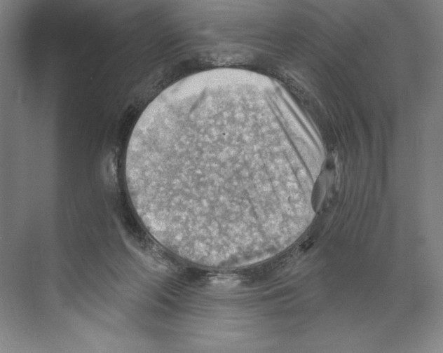 X0000068830214200606021651