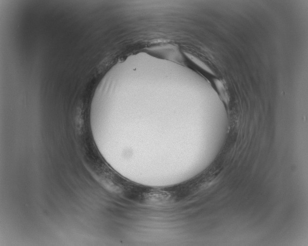 X0000068830215200606021651