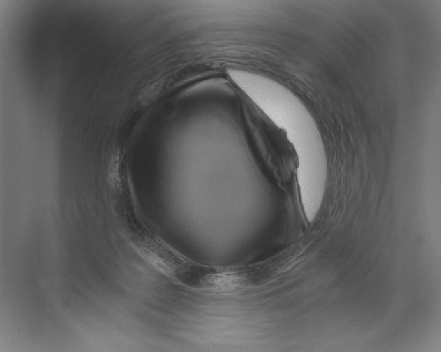 X0000068830219200606021651