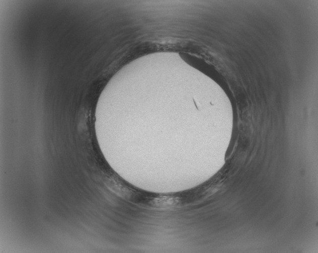 X0000068830225200606021651