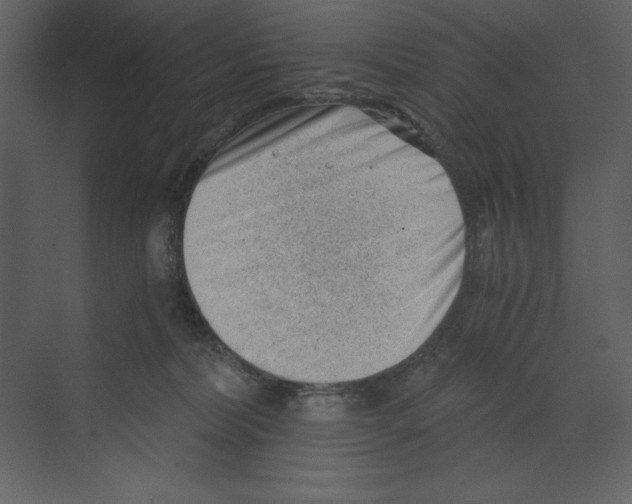 X0000068830228200606021651