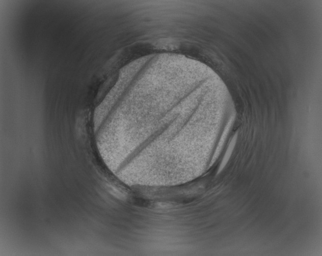 X0000068830229200606021651