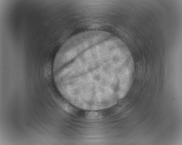 X0000068830230200606021651