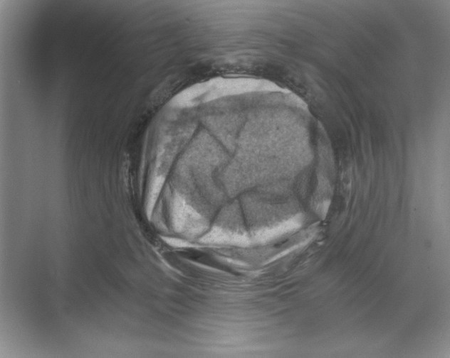 X0000068830231200606021651