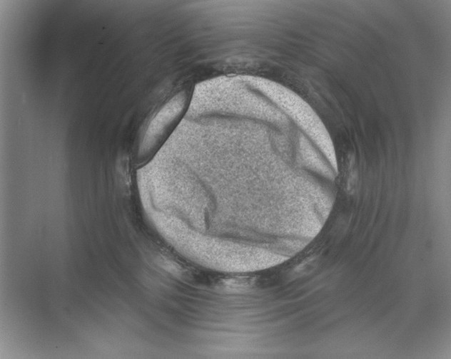 X0000068830232200606021651