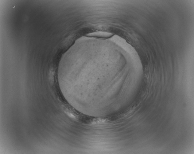 X0000068830235200606021651