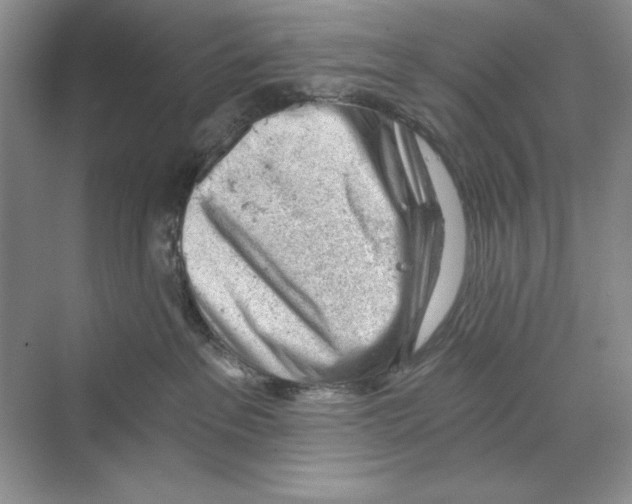 X0000068830237200606021651