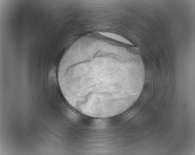 X0000068830238200606021651