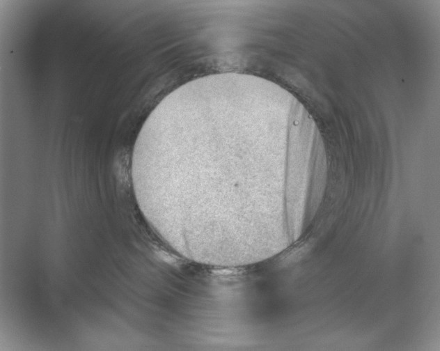 X0000068830240200606021651