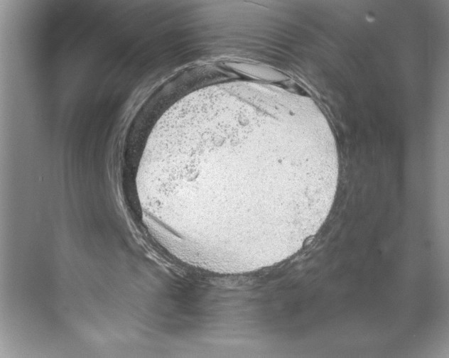 X0000068830241200606021650