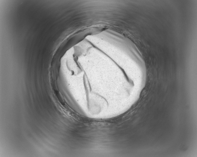 X0000068830242200606021650